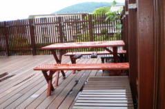 �萠�F�c�i�q�����@�E�b�h�J�[�|�[�g���E�b�h�o���R�j�[�u�E�b�h�K���[�W�v�ޗǁ@����s